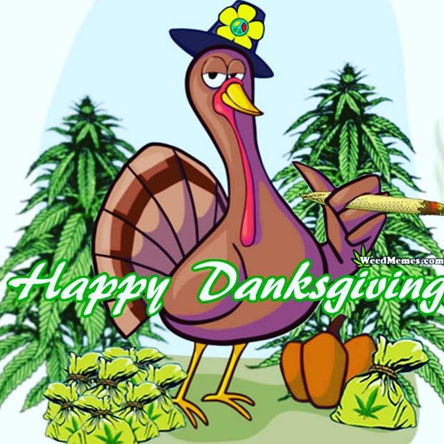 Highway 420 Seaside Website