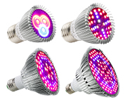 Shenzhen XinJia Light Co. Ltd Website