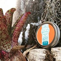 Zion Medicinals Website