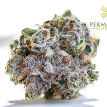 Permafrost Distributors Website