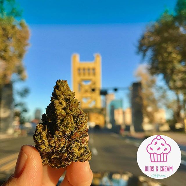 Buds & Cream Website