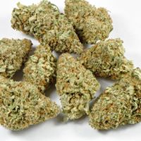 The CBDispensary Website