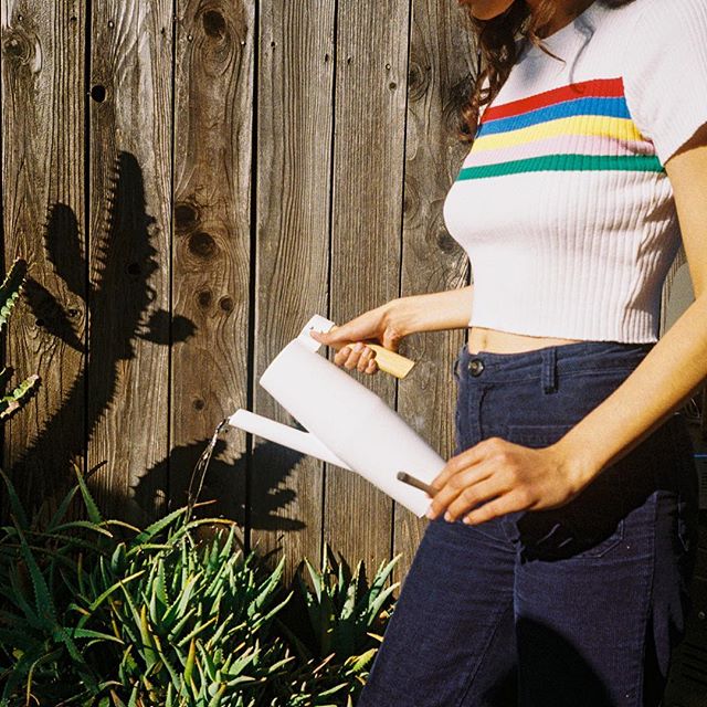 Sunday Goods Delivery - Phoenix Website