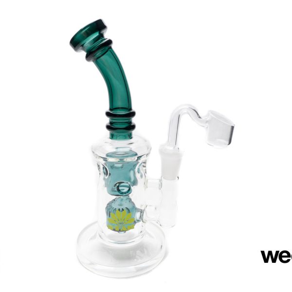 A Greener Today - Lynnwood Website