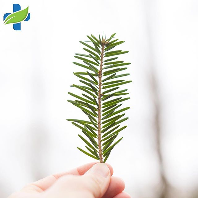 Natural Health Services - Calgary Website