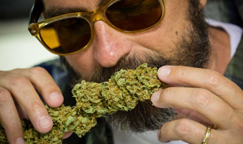 The Green Joint - Aspen Website