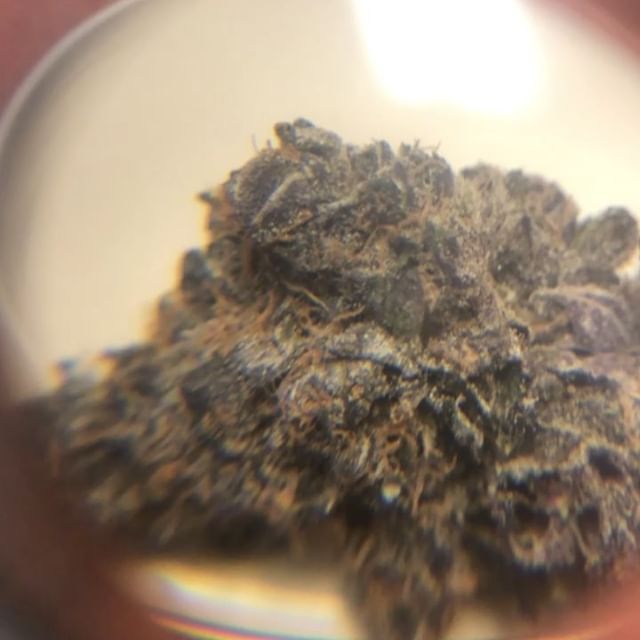 Highway 420 Seaside Website