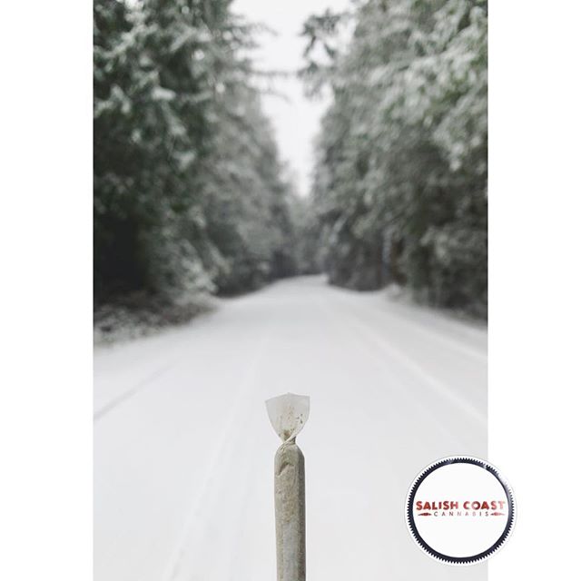 Salish Coast Cannabis Website