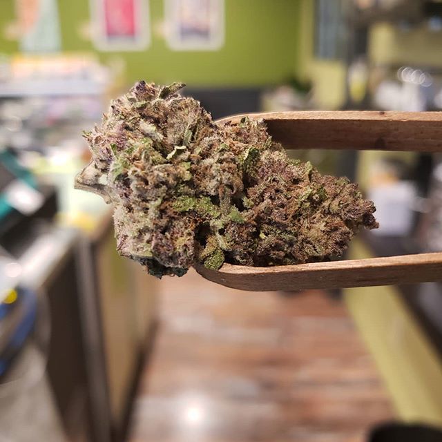 Market Street Wellness Website