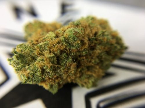 One Love Delivery Website