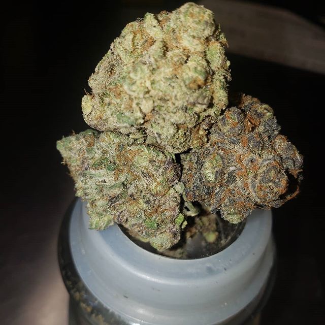 Stone Age Pharmacy Los Angeles Website