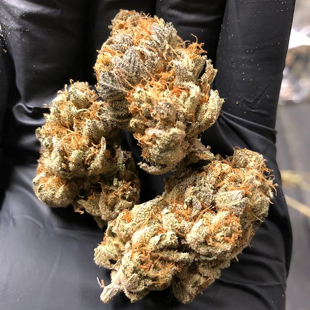 1:11 Dispensary Website