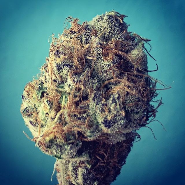 Freedom Market Longview - Recreational Website