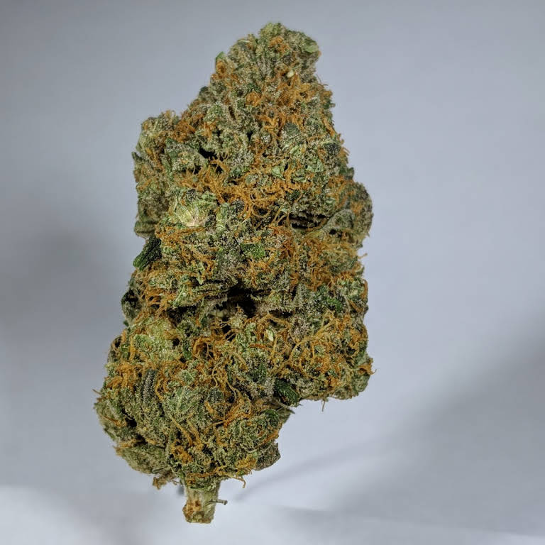 WAM (Wickenburg Alternative Medicine) Website