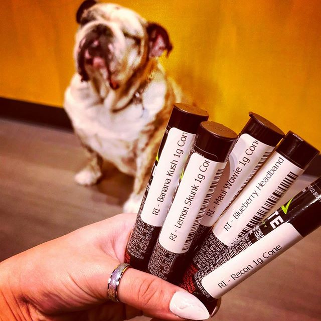 Elevated Longmont Website