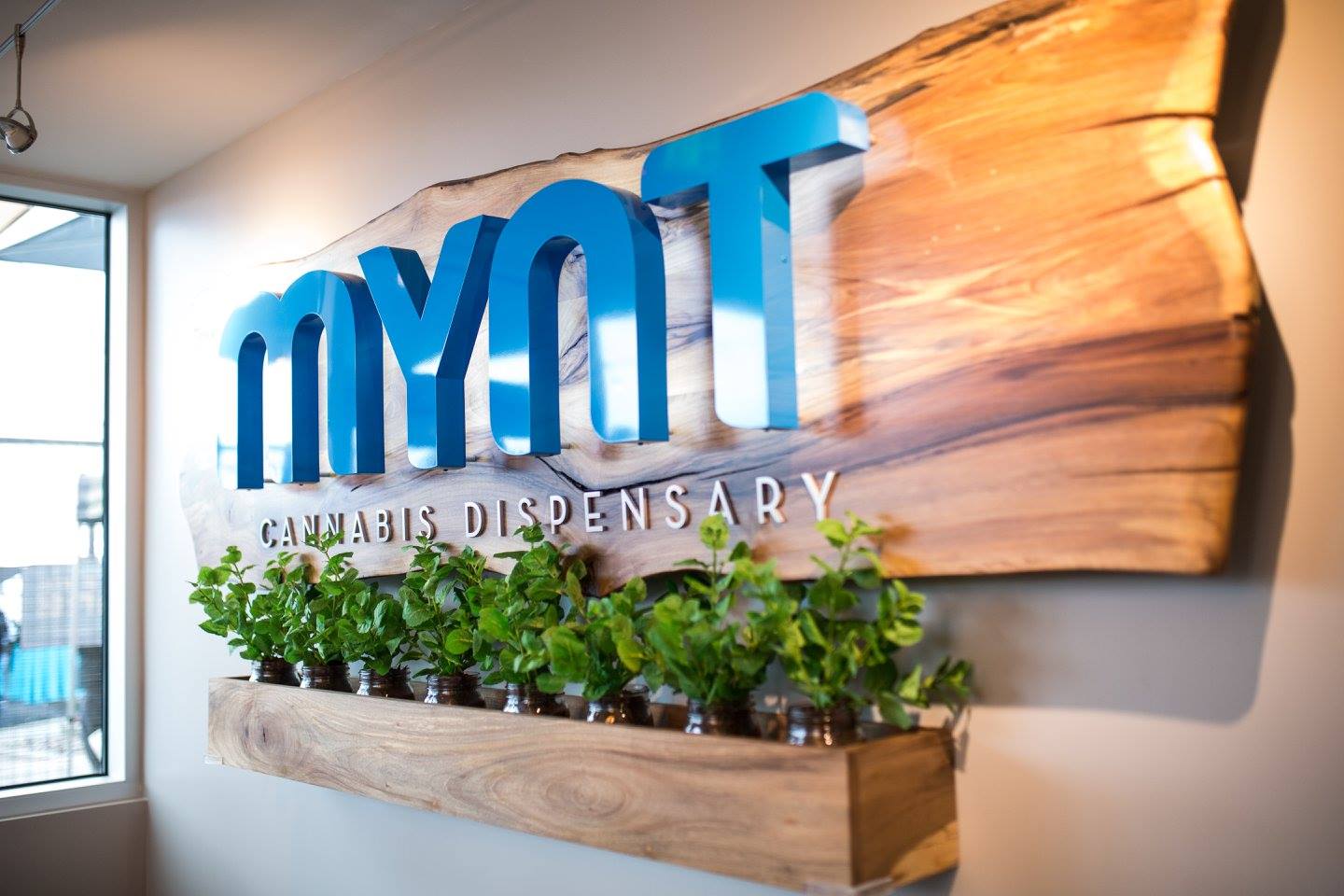 Mynt - Downtown Reno Website