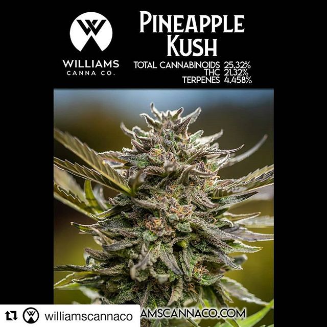 Oregon Bud Company - Beaverton Website