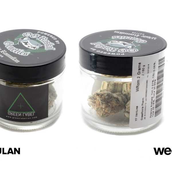 A Greener Today - Lynnwood Website