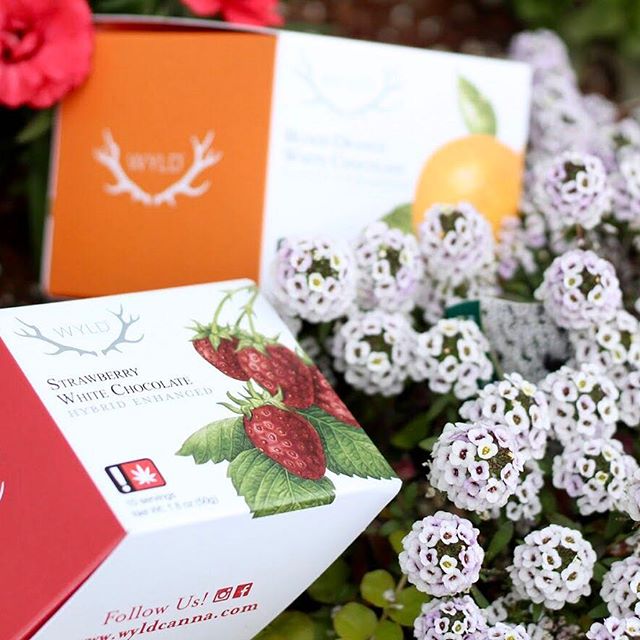 Treestar Botanicals Website