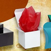 Packaging BLue Website