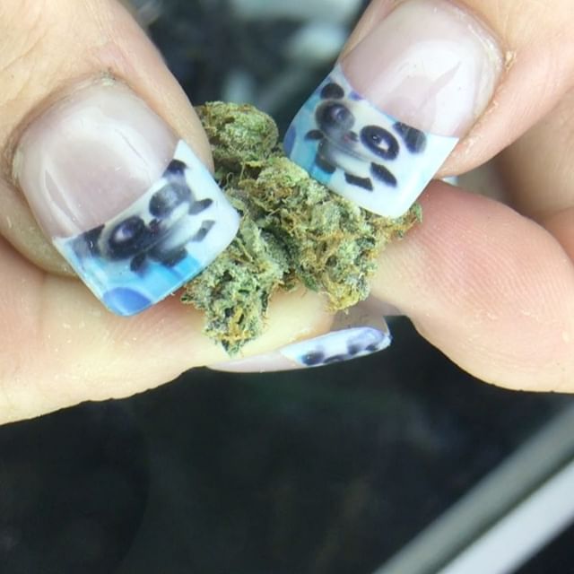 Budlandia - Division St. Website