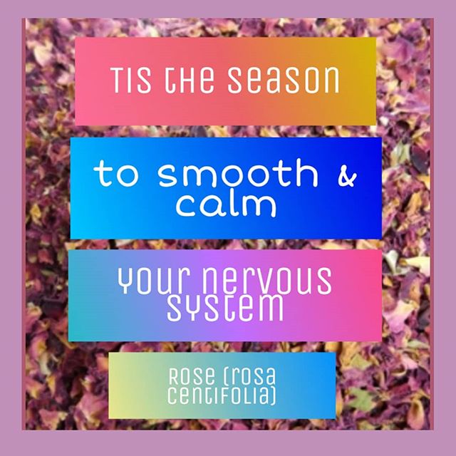 Breeze Botanicals - Ashland Website