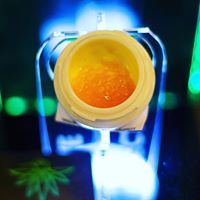 Harmony Extracts Website