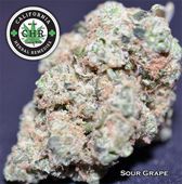 LOS ANGELES KUSH - EAST LA Website