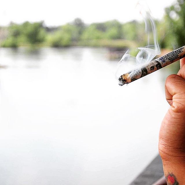 Wolf Pac Cannabis - Federal Blvd Website