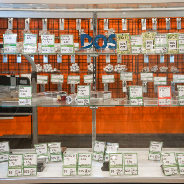 A Greener Today - Shoreline Website