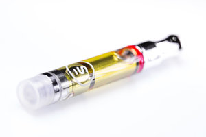 The Vth LMNT Hillsboro Website