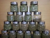 Sumpter Golden Nugget Website