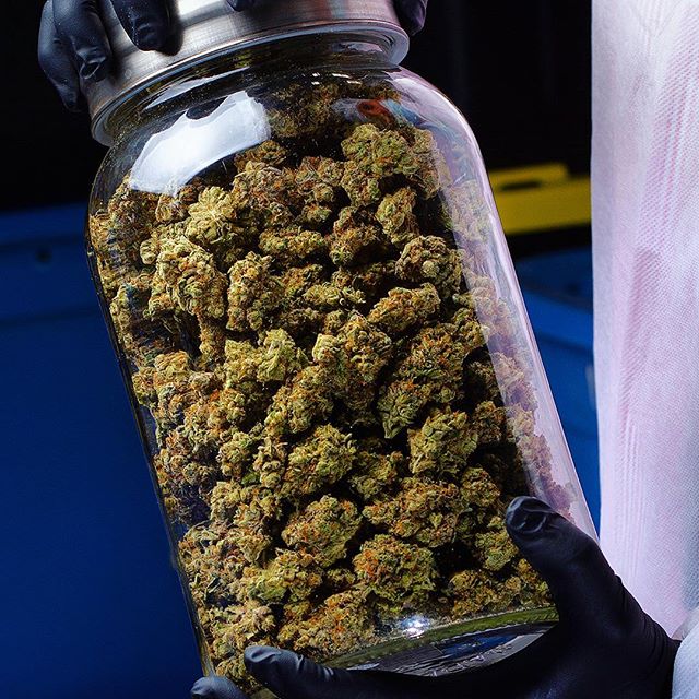 Shango Win Sivers "Airport" Website