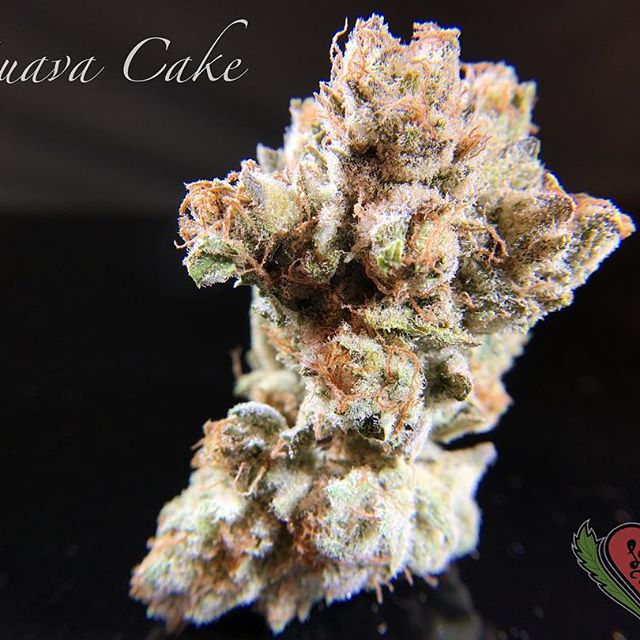 Loving Farms - Mount Vernon Website