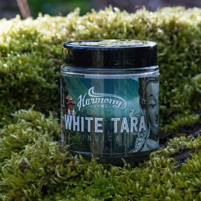 Diamond Green Recreational Marijuana - Tacoma Website