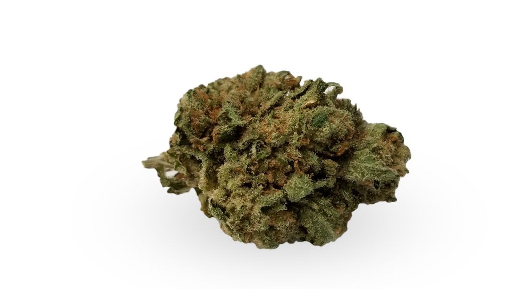 Nature's Medicines - Fall River Website