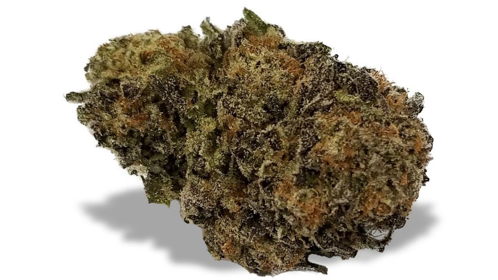 Nature's Medicines - Fall River Website