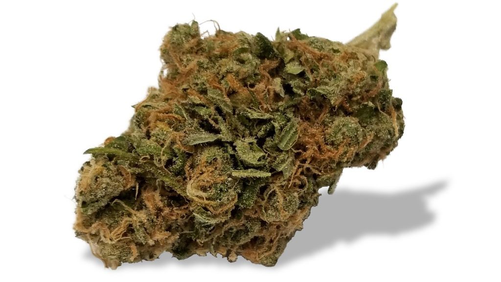 Nature's Medicines - Fall River Website