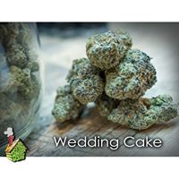 HOD Medical Marijuana Certification Center Website