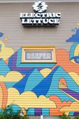 Electric Lettuce - Weidler Website