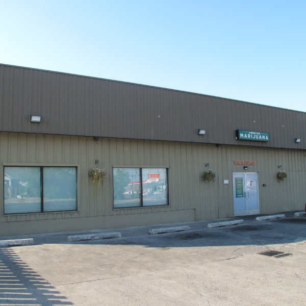 A Greener Today - Walla Walla Website