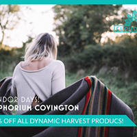 Euphorium in Covington Website