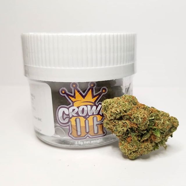 The Kind Center Website