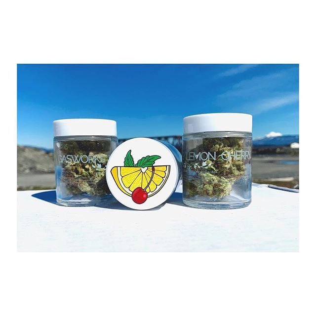Salish Coast Cannabis Website