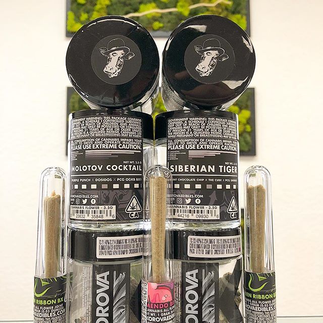 Synergy Redding Website