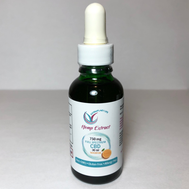 Exhemplary Life Website