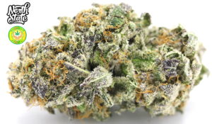 The THC collective Website