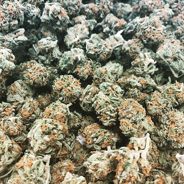 Alaska Weeds of Anchorage Website