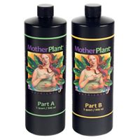 The Tree House Clinic Website