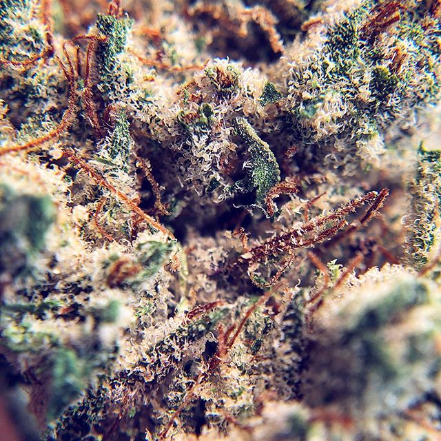 Wolf Pac Cannabis - Federal Blvd Website